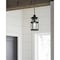 Progress Lighting Haslett Collection One-Light Hanging Lantern P550031-031 - alternate 6